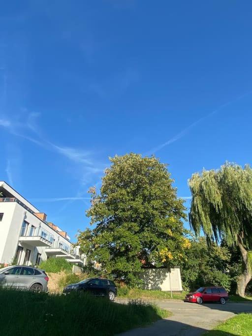 Zentral & Chic - Apartment Harzperle 2 Bad Harzburg Kültér fotó